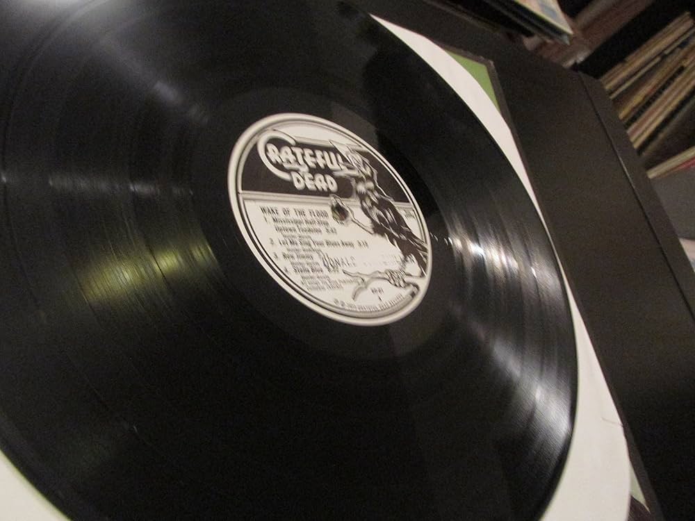 ◾️USオリジナル盤◾️GRATEFUL DEAD■グレイトフルデッド■Wake O Amazon.co.jp: Wake of the Flood: ミュージック